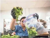  ??  ?? Interim Executive Director Kristin Mcmillin prepares salads at Caritas Community Center and Cafe in Binghampto­n on Tuesday. Spencer and Kristin Mcmillin cut short a vacation to help provide free meals to Memphians.