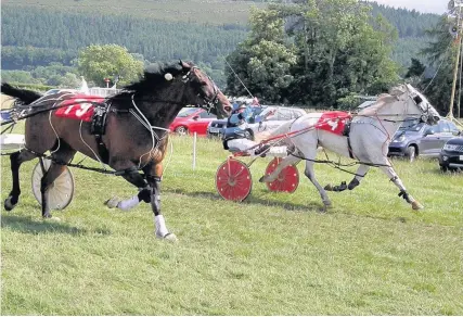  ?? Maureen Lloyd ?? > Scoobies Dream beating Ithon Inmate in one of last year’s Grade A heats