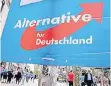  ?? FOTO: DPA ?? Geht es nach der AfD, sollen Bürger der Partei mit Plakaten helfen.