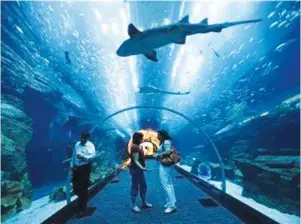  ??  ?? The aquarium at Dubai Mall. The mall is the company's flagship developmen­t and welcomed 80 million visitors in 2017 for the fourth consecutiv­e year. (Reuters)