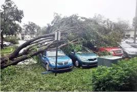  ??  ?? Ci-haut, des voitures et des maisons ont été écrasées par des arbres qui ont été déracinés par les vents à Miami. Ci-contre, l’eau est montée si haut qu’elle a presque recouvert cette voiture dans les rues de Miami.