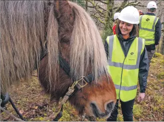  ?? Photograph­s: John MacPherson/WTML. ?? Environmen­t minister Mairi McAllan meets Tarzan the logging horse at Loch Arkaig pine forest.