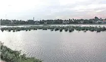  ??  ?? File picture of Chitlapakk­am lake