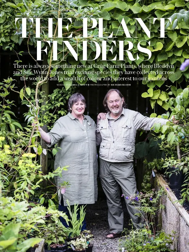 THE PLANT FINDERS - PressReader