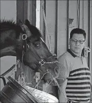  ?? [AP PHOTO] ?? Juan Aguayo watches as Kentucky Derby winner Always Dreaming munches on his breakfast in Stall 40 of the stakes barn at Pimlico Race Course Friday in Baltimore.