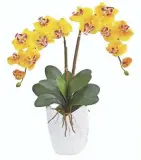  ??  ?? Radiant yellow faux flowers like this Double Phalaenops­is orchid artificial arrangemen­t will lift your mood. $120.99 at jcp.com.