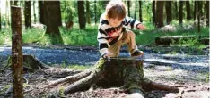  ?? Foto: Alexander Kaya ?? Welden hebt die Gebühren für den Waldkinder­garten an.