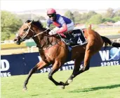  ?? Picture: JC Photograph­ics. ?? FAVOURITE: Last year’s Khaya Stables Diadem Stakes winner Trip To Heaven is 3-1 to score the double in the 1200m Grade 2 race.