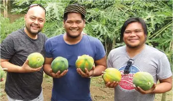  ??  ?? (Upper photo) Ryan Soler, Leo Oril, and Herbert Lelani with their harvest of Red Lady papaya. (Left photo) Oril and Soler, also with their harvest of beautiful Red Lady papaya.