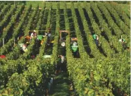  ??  ?? Above: harvest time at Château Vray Croix de Gay