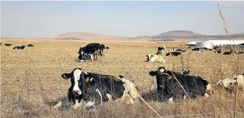  ?? Picture: Alon Skuy ?? The Vrede dairy farm project in the Free State has been at the centre of allegation­s of money laundering by the Gupta family.