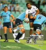  ?? HANGING IN ?? The law of probabilit­y says this will be the year Patrick Tuipulotu comes good for the Blues.