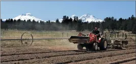  ?? PHOTOS BY DON RYAN — THE ASSOCIATED PRESS FILE ?? Trevor Eubanks, plant manager for Big Top Farms, readies a field for another hemp crop near Sisters, Ore.