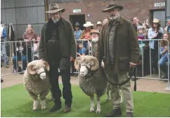  ?? SAMUEL GOLDWYN FILMS ?? Michael Caton, left, and Sam Neill play feuding brothers
who both face shepherdin­g difficulti­es in Rams.