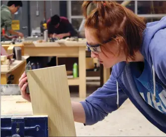  ?? Palliser Schools photo ?? FOCUSED: Juliana Bruyn of Master's College checks out her project in the Pre-Employment Carpentry program.