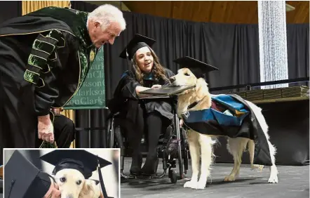  ??  ?? Passing with flying colours:Griffin accepting his honorary diploma from Clarkson University President Tony Collins as Hawley looks on during the recognitio­n ceremony in Potsdam. (Inset) Hawley giving Griffin a congratula­ry hug. — AP