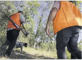  ?? (Photo Dylan Meiffret) ?? Pour le représenta­nt de la Fédération, les règles de sécurité qui régissent la chasse sont suffisamme­nt strictes. Il renvoie aussi la responsabi­lité aux promeneurs, qui ont tendance à pénétrer dans les zones de battues.