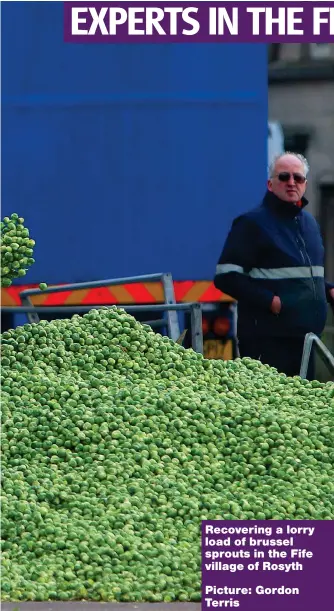  ?? Picture: Gordon Terris ?? Recovering a lorry load of brussel sprouts in the Fife village of Rosyth