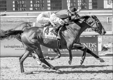  ?? AMANDA HODGES WEIR/HODGES PHOTOGRAPH­Y ?? Honorable Duty, winning the New Orleans Handicap in April, is fresh for the Lukas Classic.