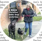  ??  ?? A ROCK Christine walks dogs yesterday