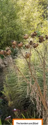  ??  ?? The borders are filled even at this time of year: tall grasses, cardoons, euphorbias, hebes and lavender provide interest in autumn and winter