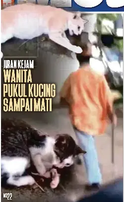 Akta Kebajikan Haiwan Jabatan Perkhidmatan Veterinar Facebook
