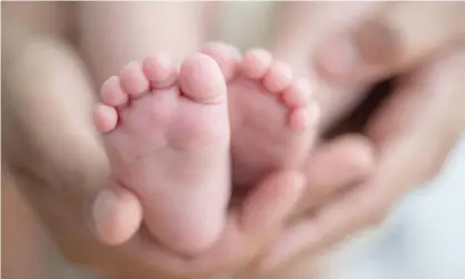  ?? Photograph: Simon Dannhauer/Alamy ?? Scientists compared dried blood samples taken during the newborn heel prick test from 655 healthy babies, 26 babies who died from Sids and 41 babies who died in infancy from other causes.