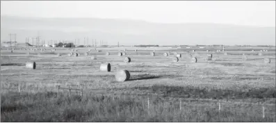  ?? Canadian Press photo ?? In this October 2010 photo, hay bales sit in prairie wheat fields outside Saskatoon, Sask. A Saskatchew­an First Nation is suing the province and Ottawa to try and regain some control over traditiona­l lands it says have been whittled away by a century...