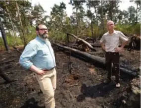  ?? FOTO MIA UYDENS ?? Bert Mellebeek, directeur van De Hoge Rielen, bekijkt samen met boswachter Kris Rombouts de schade na de bosbrand.