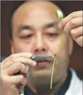  ??  ?? Above: Doctor Kuang Weiping of the hospital practices his surgical skills on a flower stalk. Left: Zhou Jianbo uses cotton swabs to have a meal at the hospital’s canteen.