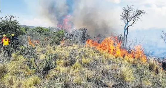  ?? (FEDERACIÓN DE BOMBEROS) ?? Poner el cuerpo. Los bomberos, al lado del fuego. Ayer hubo 140. Pero no dan abasto para la dimensión del incendio.