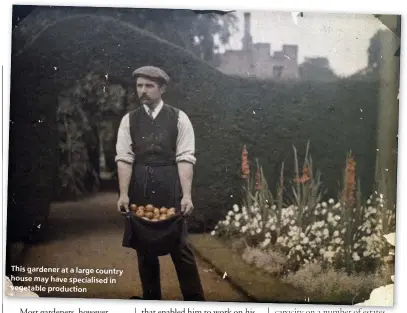  ??  ?? This gardener at a large country house may have specialise­d in vegetable production