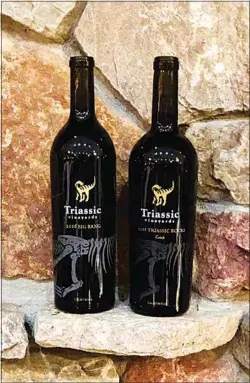  ?? CONTRIBUTE­D BY TRIASSIC VINEYARDS ?? Jim and Sally Arnold of Triassic Vineyards were awarded Best of Class for their 2016 Big Bang and Double Gold for their Triassic Rocks at the 2020 San Francisco Chronicle Wine Competitio­n.