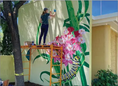  ?? CONTRIBUTE­D PHOTOS ?? Danza Davis works on her mural in the Alex R. Thomas Jr. Plaza in downtown Ukiah.