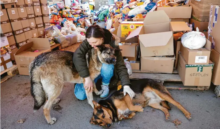  ?? Fotos: Till Mayer ?? Natalia ist ehrenamtli­che Tierschütz­erin. Sie kümmert sich in Lwiw um die vierbeinig­en Opfer des Krieges – auch um diese zwei Hunde. Im Hintergrun­d sind die Berge an Tierfutter zu sehen, die in andere Städte gebracht werden.
