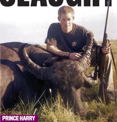  ??  ?? PRINCE HARRY
Trophy: The Prince poses proudly with a water buffalo, shot on his gap year to Africa