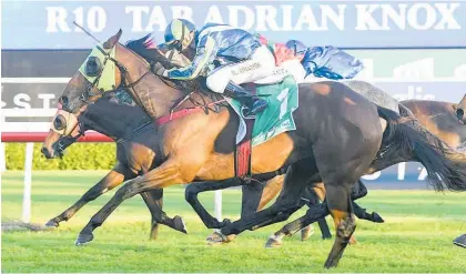  ?? Photo / Bradley Photograph­y ?? Luvaluva winning the Adrian Knox Stakes last year. She is set to contest the Gr.1 Fiber Fresh NZ Thoroughbr­ed Breeders’ Stakes at Te Aroha next month.