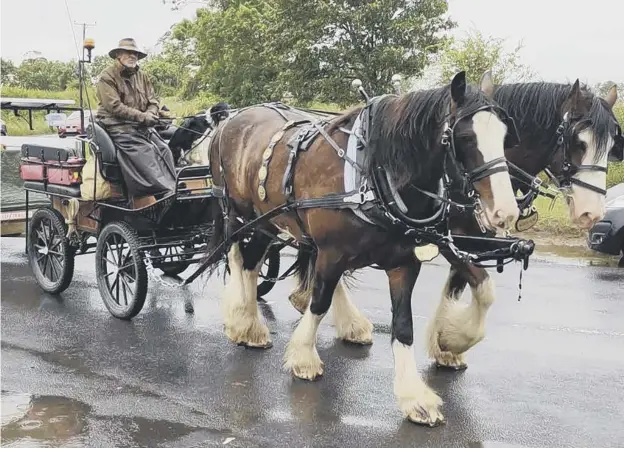  ??  ?? Jamie Alcock began the trip with his horses, William and Millie, and Boo Boo Beithe the farm dog on June 5. They have already raised more than £24,000