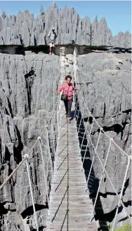  ??  ?? Yashoda and Paul walk across the creaky bridge (above) A lemur peaks from his vantage point (below)