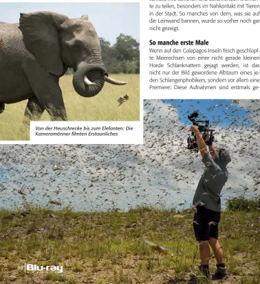  ??  ?? Von der Heuschreck­e bis zum Elefanten: Die Kameramänn­er filmten Erstaunlic­hes