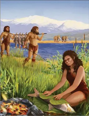  ?? Ella Maru / Tel Aviv University via AP ?? This illustrati­on provided by Tel Aviv University depicts hominins preparing Luciobarbu­s longiceps fish on the shores of the ancient lake Lake Hula. A recent study found the oldest evidence of using fire to cook, dating back to 780,000 years ago.