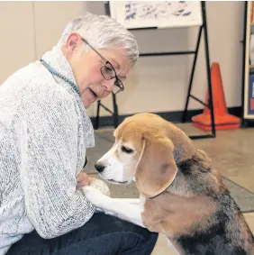 ?? LYNN CURWIN/TRURO NEWS ?? Cathie Bell is the trainer in the Pawsitive Directions program at Nova Institutio­n for Women. Maya, one of her own dogs, often accompanie­s her to work.