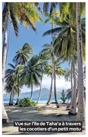  ??  ?? Vue sur l’île de Taha’a à travers les cocotiers d’un petit motu