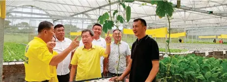  ?? Churchill Edward — Photo by ?? Yu (right) leads Dr Sim (centre) and his entourage to see the hydroponic grown bitter gourds at the Emma Hydroponic Farm at Jalan Batu Kawa.