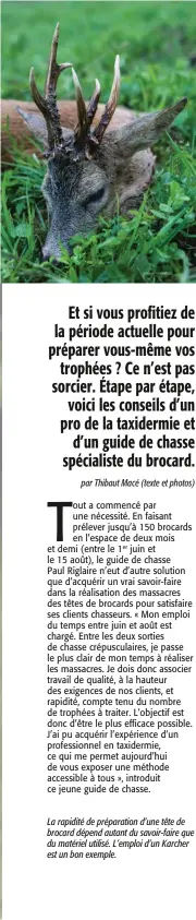  ??  ?? La rapidité de préparatio­n d’une tête de brocard dépend autant du savoir-faire que du matériel utilisé. L’emploi d’un Karcher est un bon exemple.