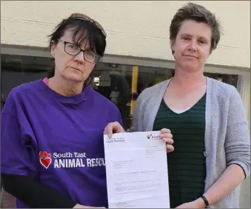  ??  ?? Jackie Polson and Aisling Kelly at the South East Animal Rescue at Slaney St, Enniscorth­y.