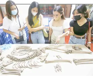  ?? PHOTOGRAPH BY JOEY SANCHEZ MENDOZA FOR THE DAILY TRIBUNE@tribunephl_joey ?? STUDENTS from the University of the Philippine­s-Manila observe the remains of an individual believed to have lived during the Spanish colonial era in the country which is on display at the archeologi­cal repositori­es section of the National Museum of the Philippine­s.