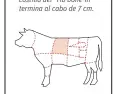  ??  ?? Un exportador de carne canadiense fue el primero en tener la idea de no serrar los huesos de las costillas en el “rib eye”, sino dejar que sobresalie­ran unos 20 cm. Sin embargo, en los EE. UU. la costilla del “rib bone-in” termina al cabo de 7 cm.