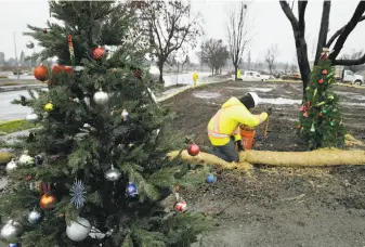  ?? Eric Risberg / Associated Press ?? A worker uses wattle for erosion control in January in the Coffey Park neighborho­od of Santa Rosa. The California Native Plant Society offers restoratio­n tips for fire-ravaged areas.