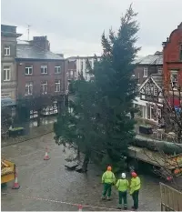  ??  ?? The Christmas tree going up in the town hall square